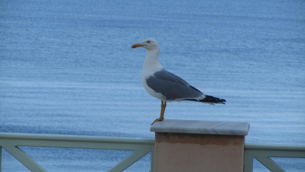 Apollonos Seafront Apartment Ερμούπολη Εξωτερικό φωτογραφία